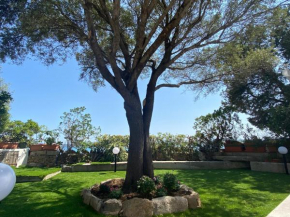 La casa sull’acqua